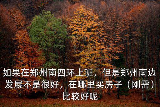 如果在鄭州南四環上班，但是鄭州南邊發展不是很好，在哪里買房子（剛需）比較好呢