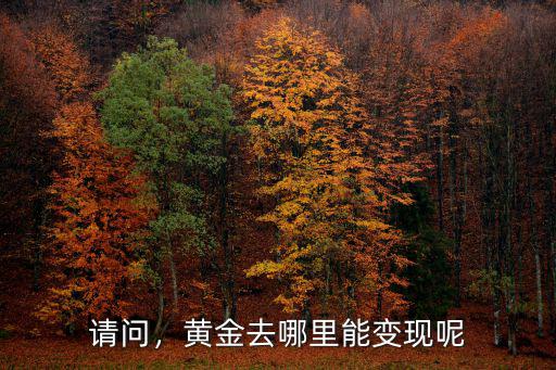 請問，黃金去哪里能變現(xiàn)呢