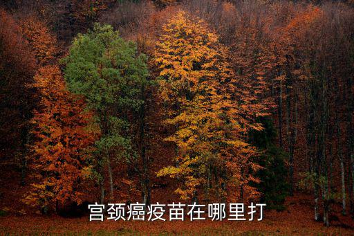 鄭州宮頸癌疫苗四價哪里可以打,九價HPV疫苗哪里可以打