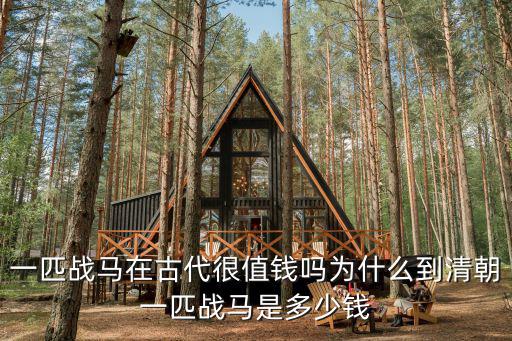 一匹戰(zhàn)馬在古代很值錢嗎為什么到清朝一匹戰(zhàn)馬是多少錢