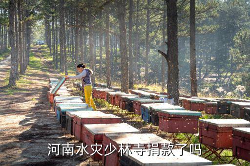河南洪災李嘉誠捐了多少錢,河南洪災你捐款了嗎