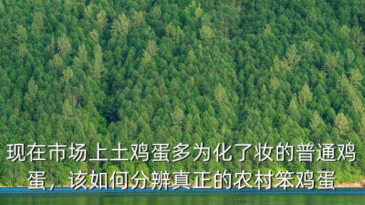 現在市場上土雞蛋多為化了妝的普通雞蛋，該如何分辨真正的農村笨雞蛋