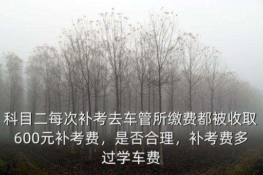 科目二每次補(bǔ)考去車管所繳費(fèi)都被收取600元補(bǔ)考費(fèi)，是否合理，補(bǔ)考費(fèi)多過學(xué)車費(fèi)