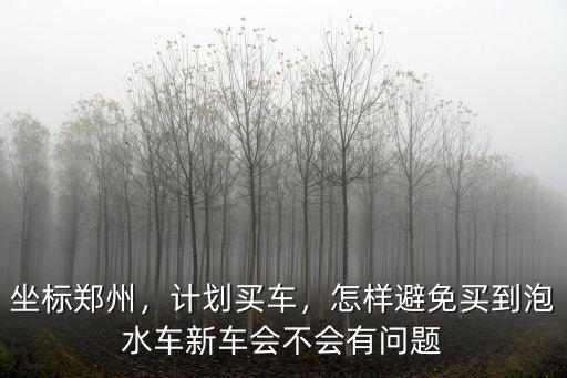 坐標鄭州，計劃買車，怎樣避免買到泡水車新車會不會有問題