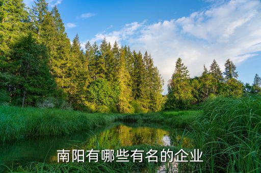 南陽市哪里有帽子的,南陽有哪些有名的企業