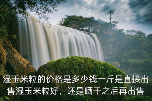 濕玉米粒的價格是多少錢一斤是直接出售濕玉米粒好，還是曬干之后再出售