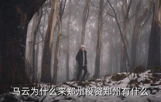鄭州中原腹地怎么樣,為什么國家提出發(fā)展中原鄭州