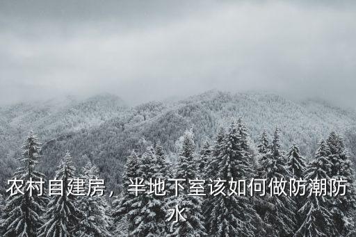 農(nóng)村自建房，半地下室該如何做防潮防水