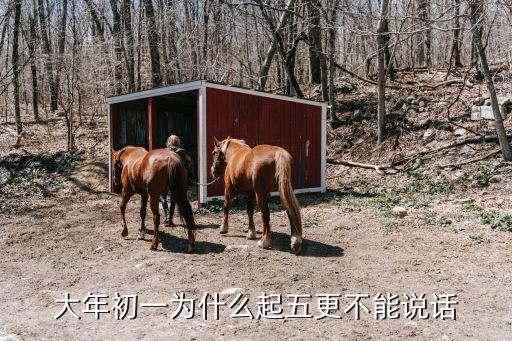 河南哪里過年起五更,農村過年的起五更是什么意思
