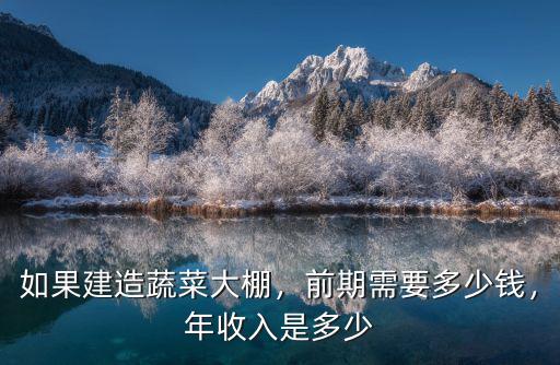如果建造蔬菜大棚，前期需要多少錢，年收入是多少
