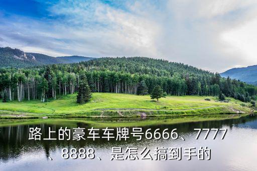 安陽(yáng)4連號(hào)的車(chē)牌多少錢(qián),3連號(hào)車(chē)牌能值多少錢(qián)