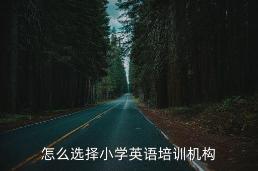 怎么選擇小學英語培訓機構