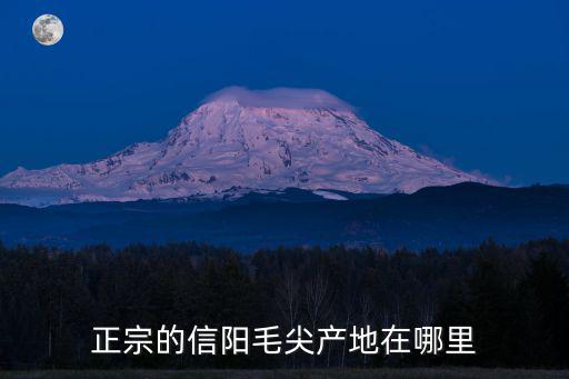 固始縣哪里賣信陽毛尖,正宗的信陽毛尖產地在哪里