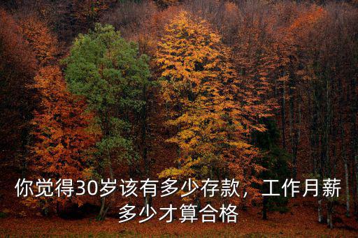 你覺得30歲該有多少存款，工作月薪多少才算合格
