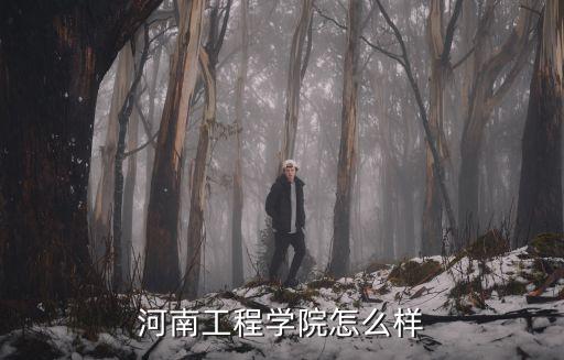 河南工程學院怎么樣