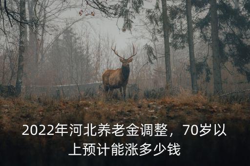 洛陽今年70歲老人養老金上調多少,70歲退休老人