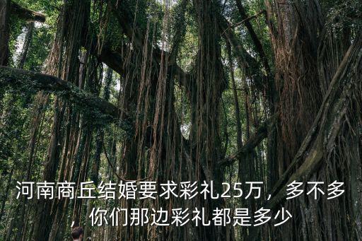 河南商丘結(jié)婚要求彩禮25萬，多不多，你們那邊彩禮都是多少