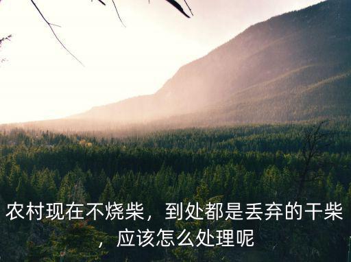 農村現在不燒柴，到處都是丟棄的干柴，應該怎么處理呢