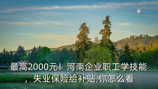 最高2000元！河南企業職工學技能，失業保險給補貼,你怎么看