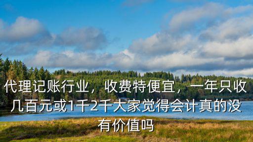 代理記賬行業，收費特便宜，一年只收幾百元或1千2千大家覺得會計真的沒有價值嗎