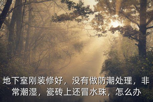 地下室剛裝修好，沒有做防潮處理，非常潮濕，瓷磚上還冒水珠，怎么辦