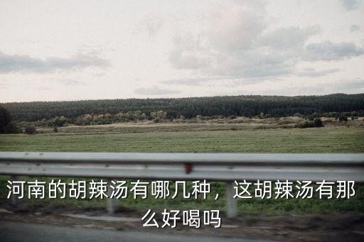 河南的胡辣湯有哪幾種，這胡辣湯有那么好喝嗎