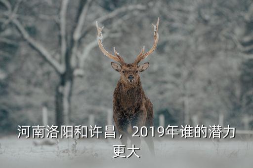 河南洛陽和許昌，2019年誰的潛力更大
