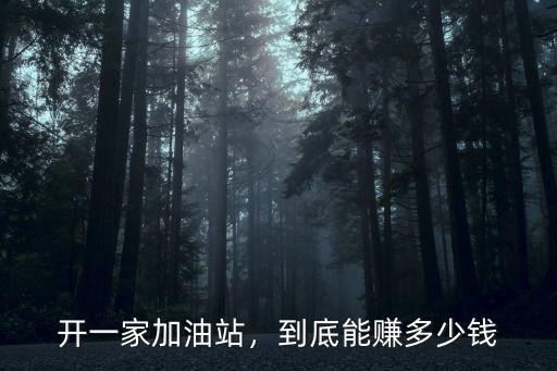 開一家加油站，到底能賺多少錢