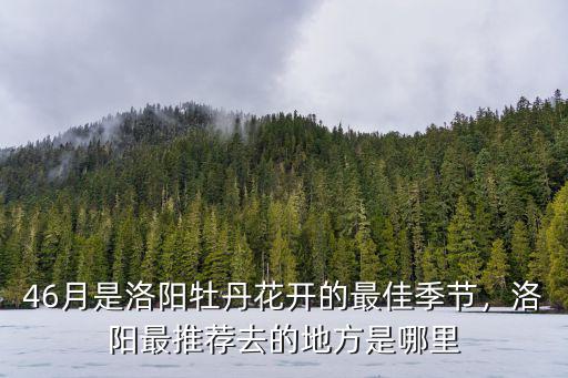 46月是洛陽牡丹花開的最佳季節，洛陽最推薦去的地方是哪里
