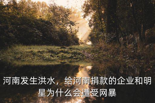 河南發生洪水，給河南捐款的企業和明星為什么會遭受網暴
