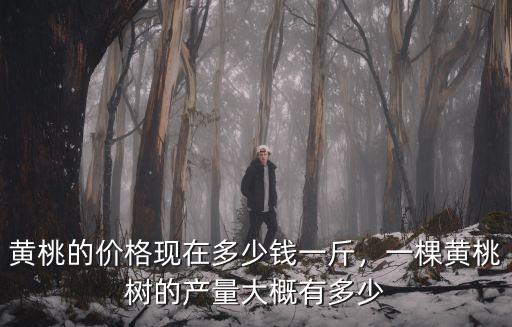 黃桃的價格現在多少錢一斤，一棵黃桃樹的產量大概有多少