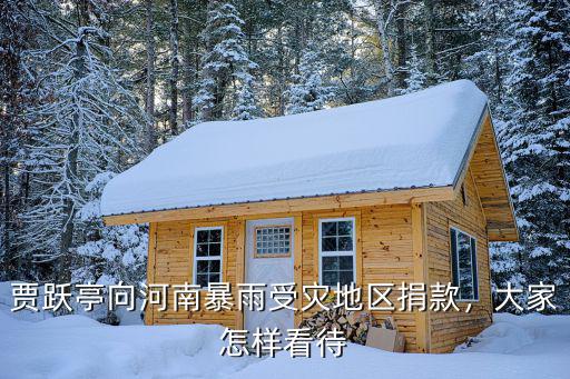 賈躍亭向河南暴雨受災(zāi)地區(qū)捐款，大家怎樣看待