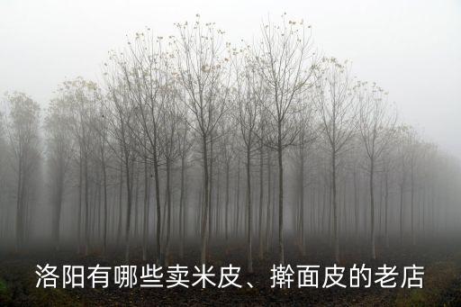 洛陽哪里有送米皮涼皮的,洛陽有哪些賣米皮