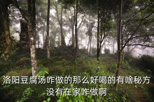 洛陽豆腐湯咋做的那么好喝的有啥秘方沒有在家咋做啊