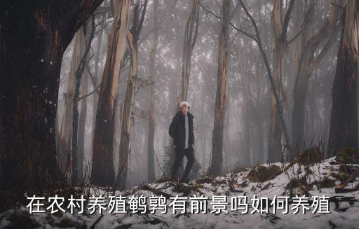 在農(nóng)村養(yǎng)殖鵪鶉有前景嗎如何養(yǎng)殖