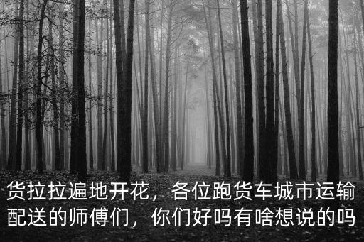 信陽的貨拉拉在哪里,買多大的車做貨拉拉