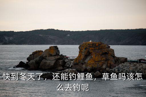 快到冬天了，還能釣鯉魚，草魚嗎該怎么去釣?zāi)? class=