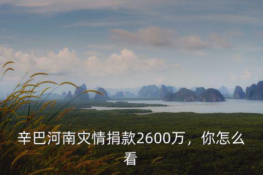辛巴捐給河南災區多少錢,辛巴河南災情捐款2600萬