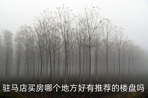 在駐馬店買房買哪里的好一些,買房還是在駐馬店買好