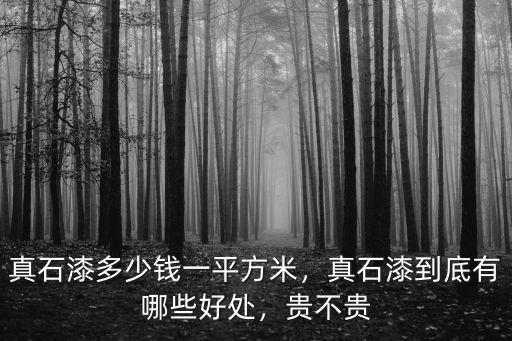 新鄉(xiāng)市真石漆多少錢一平米,真石漆多少錢一平方米