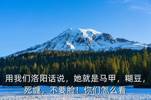 用我們洛陽話說，她就是馬甲，糊豆，死纏，不要臉！你們怎么看