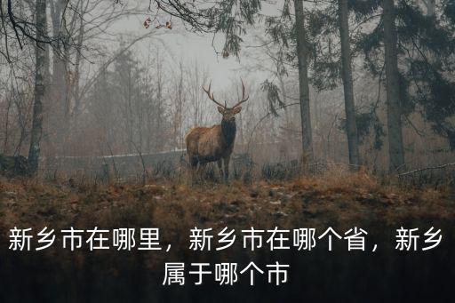 新鄉(xiāng)啤酒廠在哪里,新鄉(xiāng)市在哪里