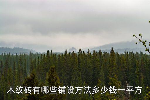 洛陽(yáng)鋪木紋磚多少錢(qián)一平方,多少錢(qián)一平方