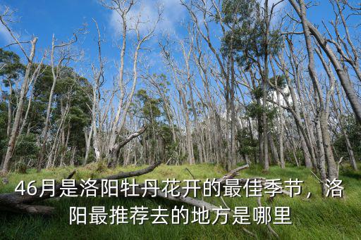 46月是洛陽牡丹花開的最佳季節(jié)，洛陽最推薦去的地方是哪里