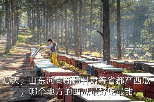 夏天，山東河南新疆甘肅等省都產西瓜，哪個地方的西瓜最好吃最甜