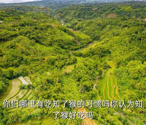 你們哪里有吃知了猴的習(xí)慣嗎你認(rèn)為知了猴好吃嗎