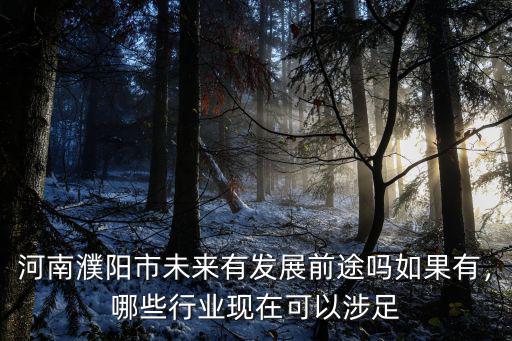 河南濮陽(yáng)市未來(lái)有發(fā)展前途嗎如果有，哪些行業(yè)現(xiàn)在可以涉足