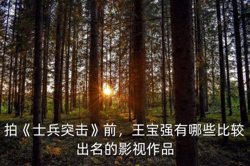 拍《士兵突擊》前，王寶強有哪些比較出名的影視作品