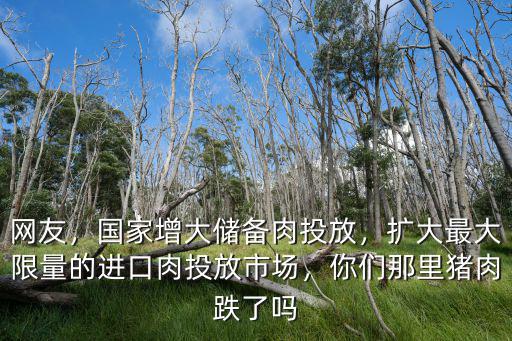 網友，國家增大儲備肉投放，擴大最大限量的進口肉投放市場，你們那里豬肉跌了嗎