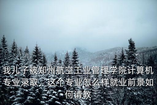 我兒子被鄭州航空工業(yè)管理學(xué)院計(jì)算機(jī)專(zhuān)業(yè)錄取，這個(gè)專(zhuān)業(yè)怎么樣就業(yè)前景如何請(qǐng)教